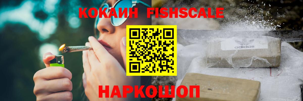 COCAIN Fish Scale Кисловодск